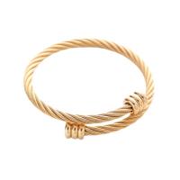 Nerūdijančio plieno Bangle, 304 Nerūdijantis plienas, unisex, daugiau spalvų pasirinkimas, Pardavė PC