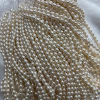 Rice ferskvandskulturperle Beads, Ferskvandsperle, Ris, du kan DIY, hvid, 5-6mm, Solgt Per Ca. 37 cm Strand