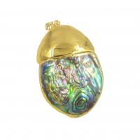 Brass Ékszer Medálok, Abalone Shell, -val Sárgaréz, Ovális, arany színű aranyozott, DIY, 35-39x55-60mm, Által értékesített PC