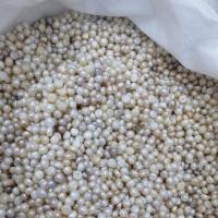 Inga Hål odlad sötvattenspärla pärlor, Freshwater Pearl, Flat Round, DIY & inget hål, blandade färger, 9-10mm, 500G/Lot, Säljs av Lot