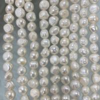 Cultured Baroque Freshwater Pearl Beads DIY white Sold Per Approx 37 cm Strand