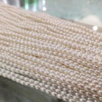 Skleněné perle, Sklo Pearl, Rýže, DIY, bílý, 3x4mm, Prodáno za Cca 15 inch Strand