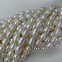 Rýže kultivované sladkovodní perle, Sladkovodní Pearl, DIY & různé styly pro výběr, bílý, 9-10mm, Prodáno za Cca 37 cm Strand