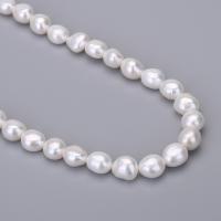 Spacer Beads Jóias, Pérolas de água doce, DIY, branco, 9mm, vendido por PC