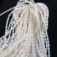 Natural White Shell Perler, du kan DIY & forskellig størrelse for valg, Solgt Per Ca. 37 cm Strand