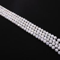 Moonstone Korálky, Kolo, DIY & různé velikosti pro výběr, bílý, Prodáno za Cca 38 cm Strand