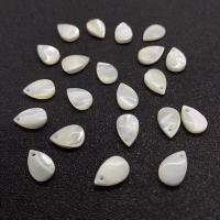 Μενταγιόν Shell, Γλυκού νερού Shell, Teardrop, DIY, λευκό, 7x11mm, Sold Με PC