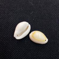 Tromba naturale Shell pendenti, conchiglia, Lumaca di mare, DIY & formato differente per scelta, colori misti, Venduto da borsa