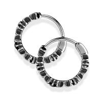 Titanium Staal Earring, plated, voor de mens, oorspronkelijke kleur, Verkocht door PC