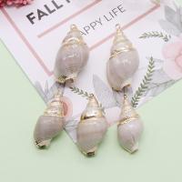 Shell Pendler, med Messing, Conch, guldfarve belagt, du kan DIY, blandede farver, 14x17-20x36mm, 5pc'er/Bag, Solgt af Bag