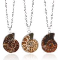 Gemstone Pendants Jewelry Trumpet Shell Fossil with Brass Conch silver color plated random style & DIY mixed colors 20-25x28-35x3-8mm Sold By PC