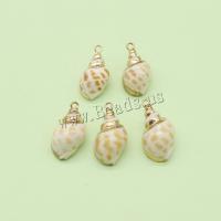 Shell Pendants with Brass Conch gold color plated DIY mixed colors Sold By PC