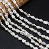 Gioielli Spacer Beads, perla d'acquadolce coltivata naturalmente, DIY, bianco, 10x15mm, Venduto per Appross. 38 cm filo