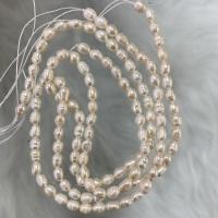 Ris odlad sötvattenspärla pärlor, Freshwater Pearl, Naturligt & DIY, vit, 4-5mm, Såld Per 36-38 cm Strand