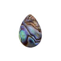 Ciondoli naturali in conchiglia abalone, gioielli di moda & per la donna, 31x19x1mm, Foro:Appross. 1mm, Venduto da PC