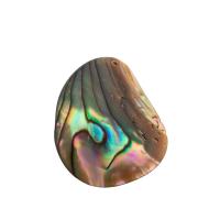 Ciondoli naturali in conchiglia abalone, gioielli di moda & per la donna, 29x23x2mm, Foro:Appross. 1mm, Venduto da PC