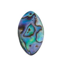 Naturlig Abalone Shell Pendler, mode smykker & for kvinde, 29x15x1mm, Hole:Ca. 1mm, Solgt af PC