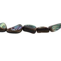 Abalone Shell Beads DIY Sold Per Approx 15.16 Inch Strand