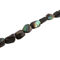 Abalone Snäckskalspärlor, Havsöra, DIY, 11x7mm, Såld Per Ca 15.16 inch Strand