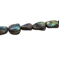 Koraliki Abalone, Muszla Abalone, DIY, 17x11mm, sprzedawane na około 15.35 cal Strand