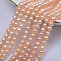 Gioielli Spacer Beads, perla d'acquadolce coltivata naturalmente, DIY, dorato, 6mm, Venduto per Appross. 37 cm filo