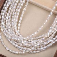 Gioielli Spacer Beads, perla d'acquadolce coltivata naturalmente, DIY, bianco, 5mm, Lunghezza Appross. 38 cm, Venduto da PC