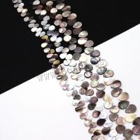 Perles de coquillage noire, coquille noire, larme, DIY, noire, Vendu par Environ 38 cm brin