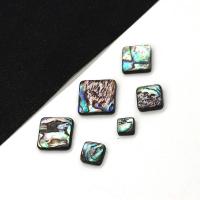 Abalone Shell Beads DIY Sold By PC