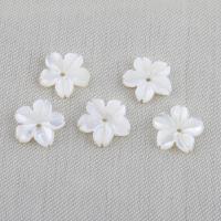 Abalorios de Nácar Blanca Natural, Flor, Bricolaje, Blanco, 10x2mm, Vendido por UD