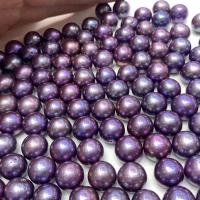 Grânulos de pérolas  cultivadas de água doce de forma redomda., Pérolas de água doce, Ligeiramente Redondo, DIY, roxo, 13-14mm, vendido por PC