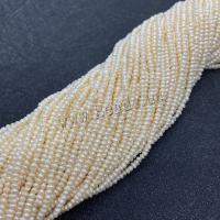 Kartoffel ferskvandskulturperle Beads, Ferskvandsperle, du kan DIY, hvid, about:2-3mm, Solgt Per Ca. 38 cm Strand