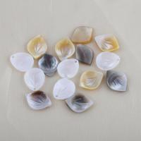 Natural Freshwater Shell Beads Leaf DIY Sold By PC