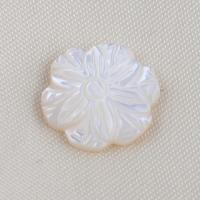 Shell Cabochons, Bijela Shell, Cvijet, možete DIY, bijel, 14.70x3.10mm, Prodano By PC