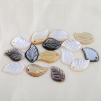 Shell Pendants Leaf DIY Sold By PC