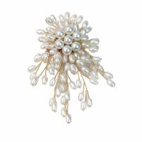 Plastic Pearl Broche, met Zinc Alloy, gold plated, mode sieraden & voor vrouw, 60x90mm, Verkocht door PC