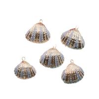 Pendentifs coquillage, coquille, avec laiton, coquille, Placage de couleur d'or, teints & DIY, Length about 18-22mm,Hight about 20-25mm, 5PC/sac, Vendu par sac