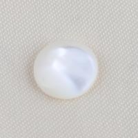 Shell Cabochoner, Top Shell, Runde, du kan DIY, hvid, 10.30x2.60mm, Solgt af PC