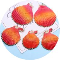 Pendentifs coquillage, coquille, avec laiton, coquille, Placage de couleur d'or, teints & DIY, orange rougeâtre, Length about 37-51mm,Hight about 42-57mm, 5PC/sac, Vendu par sac