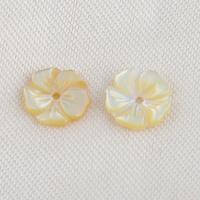 Naturlige gule Shell Perler, Gul Shell, Flower, du kan DIY, gul, 8.10x1.40mm, Solgt af PC