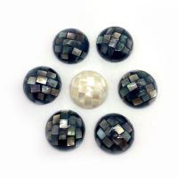 Shell-Cabochons, bianco conchiglia, with nero conchglia, Cupola, DIY, nessuno, 15mm, Venduto da PC