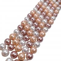 Χάντρες South Sea Shell, Shell Pearl, Γύρος, γυαλισμένο, DIY & διαφορετικό μέγεθος για την επιλογή, μικτά χρώματα, Sold Per Περίπου 38 cm Strand