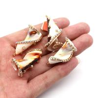 Natural trompete Shell pingentes, concha, with cobre, Hélice, cromado de cor dourada, DIY & com strass, 22x40mm, vendido por PC