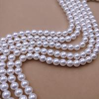 Perline conchiglia mari del sud, Shell Pearl, Cerchio, DIY & formato differente per scelta, bianco, Venduto per Appross. 38 cm filo