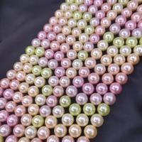 Peties perles de la mer du sud, Shell Pearl, Rond, DIY & normes différentes pour le choix, couleurs mélangées, Vendu par Environ 38 cm brin