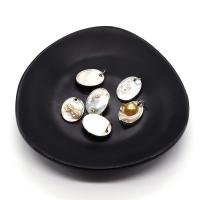 Shell Pendler, med perle & Messing, Oval, sølvfarvet forgyldt, du kan DIY, 15mm, Solgt af PC