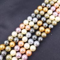 Perline conchiglia mari del sud, Shell Pearl, Cerchio, DIY & formato differente per scelta, colori misti, Venduto per Appross. 38 cm filo