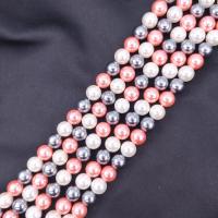 South Sea Shell Beads Shell Pearl Round plated DIY mixed colors Sold Per Approx 38 cm Strand