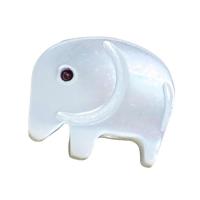 Shell Hangers, White Lip Shell, Olifant, DIY, wit, 9x11mm, Verkocht door PC