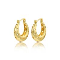 Prás Leverback Earring, plátáilte, stíleanna éagsúla do rogha & do bhean, órga, Díolta De réir Péire