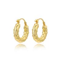 Brass Leverback Earring plated for woman Sold By Pair